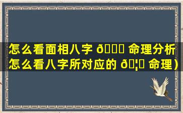 怎么看面相八字 🕊 命理分析（怎么看八字所对应的 🦄 命理）